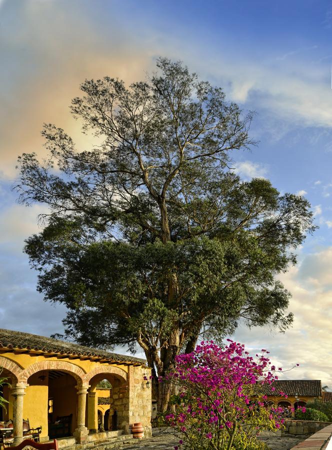 Hotel Hacienda El Salitre 파이파 외부 사진